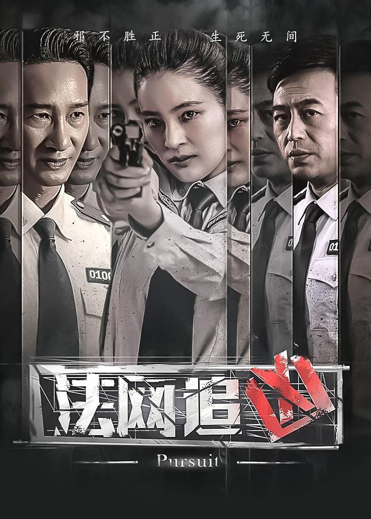法网追凶