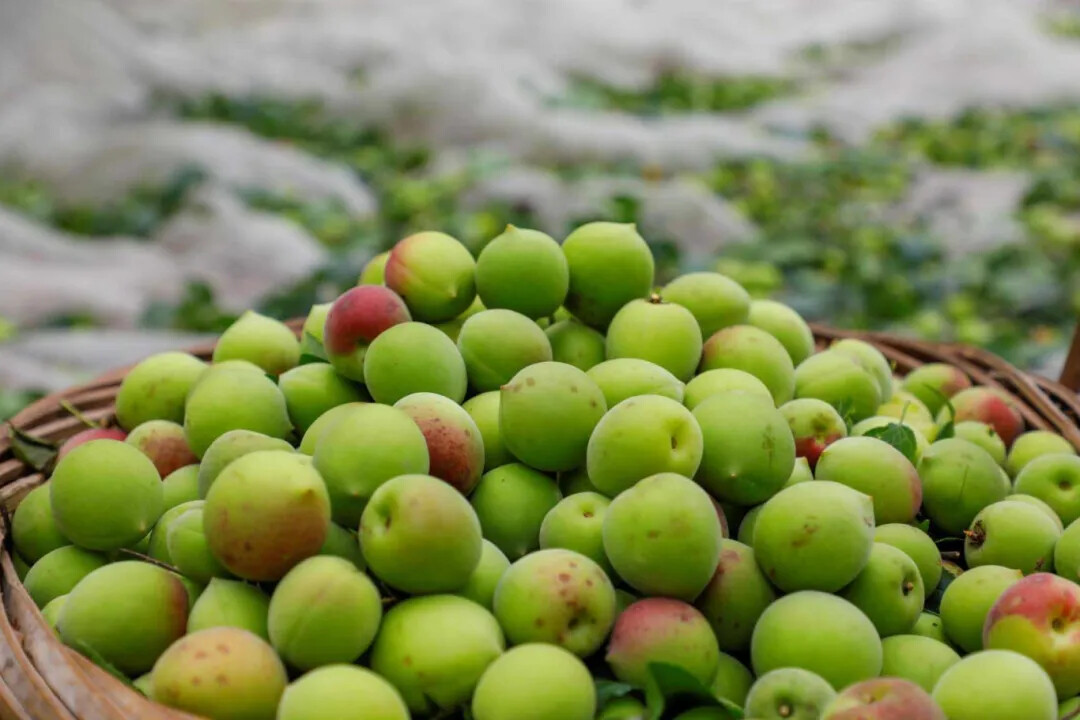 请输入图片描述